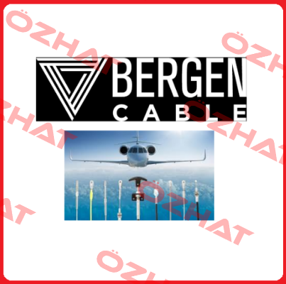 Bergen Cable Technology Llc
