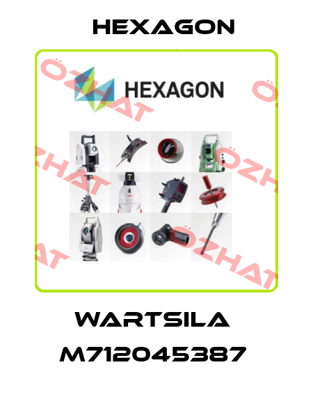 WARTSILA  M712045387  Hexagon