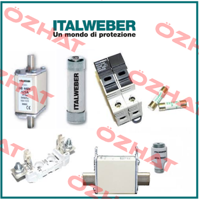 01759  Italweber