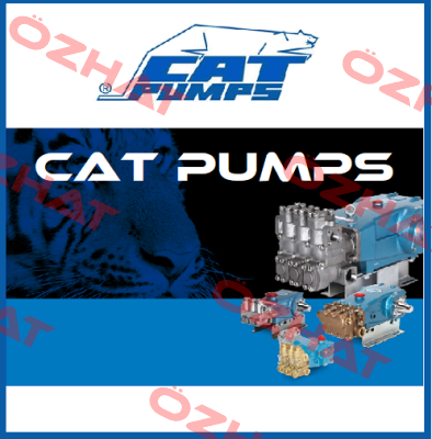 33952 Cat Pumps
