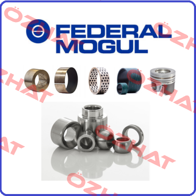 812580010  Federal Mogul