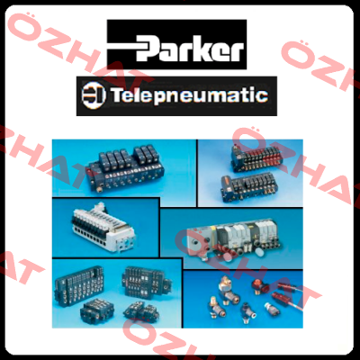 P/N: 601181060 Type: EF1 Parker