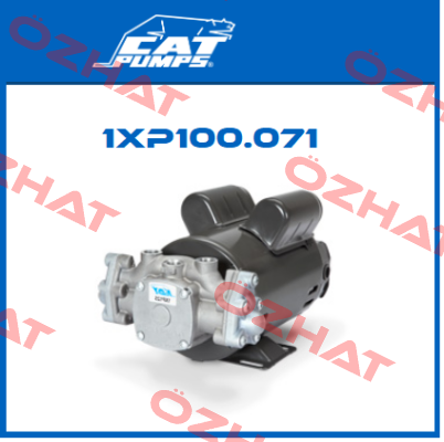 1XP100.071 Cat Pumps