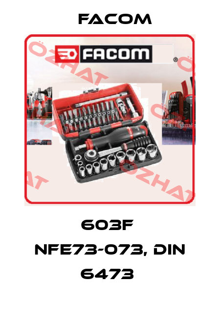 603F  NFE73-073, DIN 6473  Facom