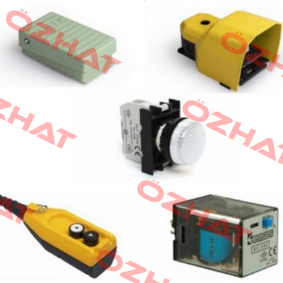 B102AA20  Emas
