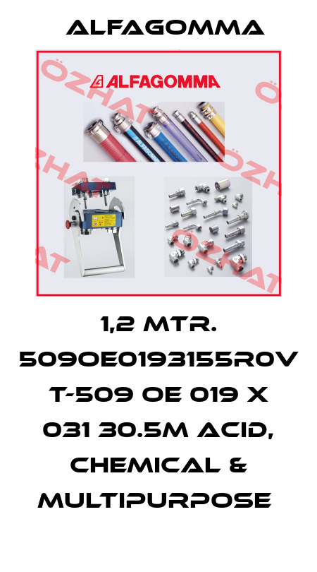 1,2 MTR. 509OE0193155R0V T-509 OE 019 X 031 30.5M ACID, CHEMICAL & MULTIPURPOSE  Alfagomma