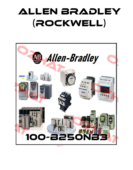 100-B250NB3 Allen Bradley (Rockwell)