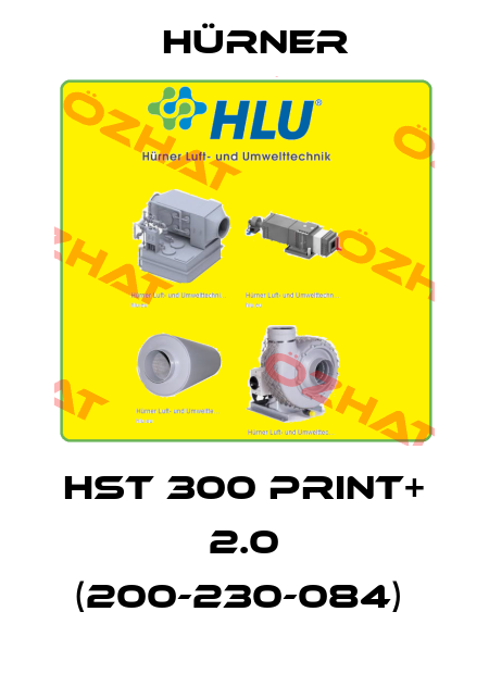 HST 300 Print+ 2.0 (200-230-084)  HÜRNER
