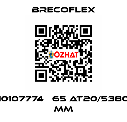 10107774   65 AT20/5380 mm Brecoflex