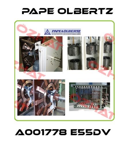 A001778 E55DV  Pape Olbertz