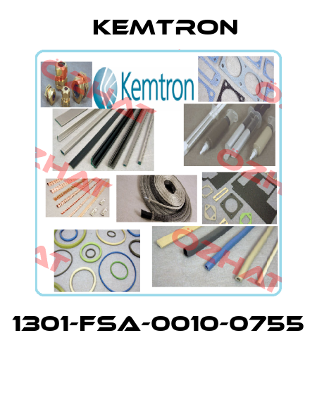 1301-FSA-0010-0755  KEMTRON