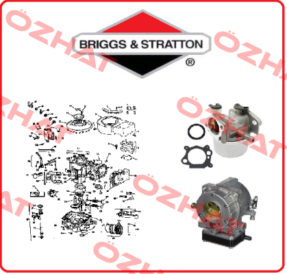 698332-BRI  Briggs-Stratton