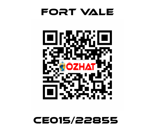 CE015/22855  Fort Vale