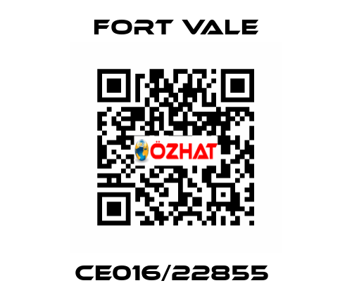 CE016/22855  Fort Vale