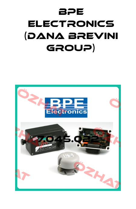 7.045.022 BPE Electronics (Dana Brevini Group)