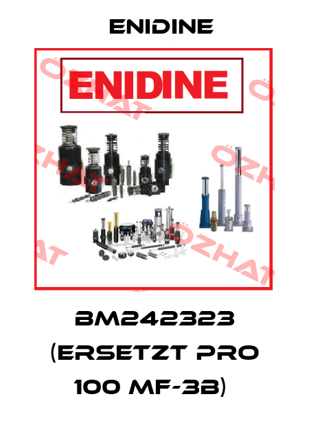 BM242323 (ERSETZT PRO 100 MF-3B)  Enidine