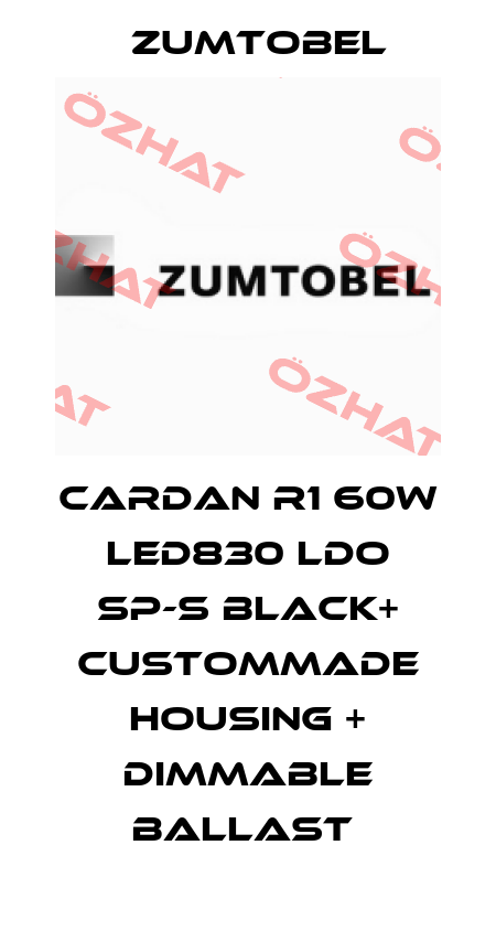 CARDAN R1 60W LED830 LDO SP-S BLACK+ CUSTOMMADE HOUSING + DIMMABLE BALLAST  Zumtobel