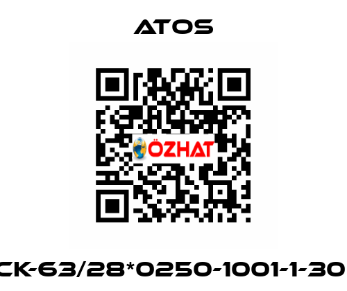 CK-63/28*0250-1001-1-30  Atos