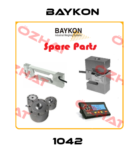 1042  Baykon