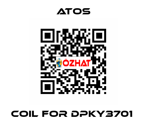 Coil for DPKY3701  Atos