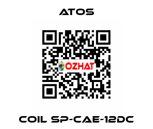 Coil SP-CAE-12DC Atos