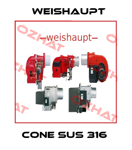 CONE SUS 316  Weishaupt