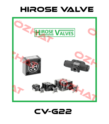 CV-G22  Hirose Valve