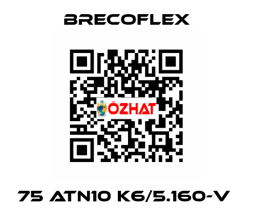 75 ATN10 K6/5.160-V  Brecoflex