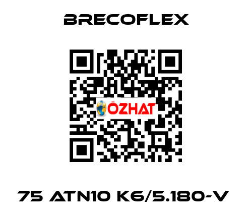 75 ATN10 K6/5.180-V  Brecoflex