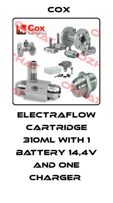 ELECTRAFLOW CARTRIDGE 310ML WITH 1 BATTERY 14,4V AND ONE CHARGER  Cox