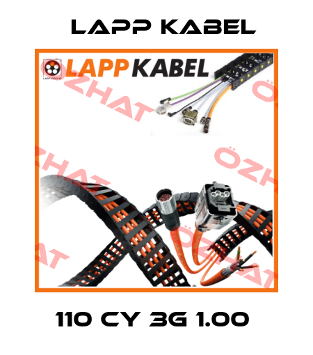 110 CY 3G 1.00  Lapp Kabel