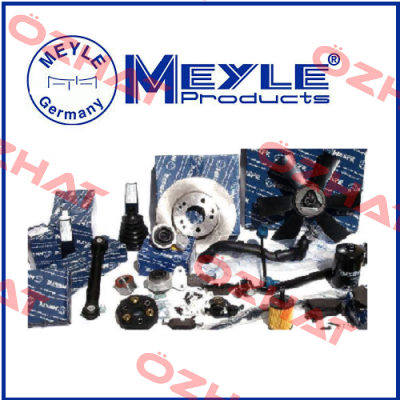 1130110036 OIL PUMP  Meyle