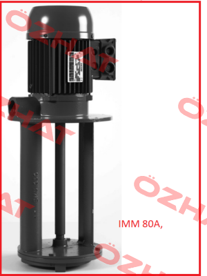 YT80IMAAA2505 Sacemi