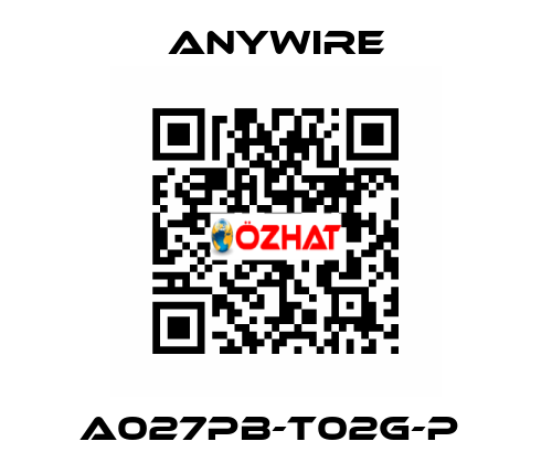 A027PB-T02G-P  Anywire