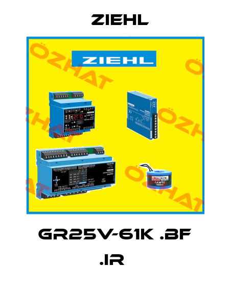  GR25V-61K .BF .IR  Ziehl