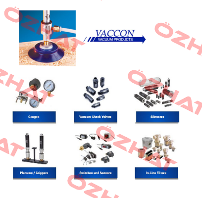 I-VDF750-ST16C(NVDFM-75-PXX-S21M01) VACCON