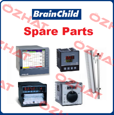 BTC9100-41111110 Brainchild