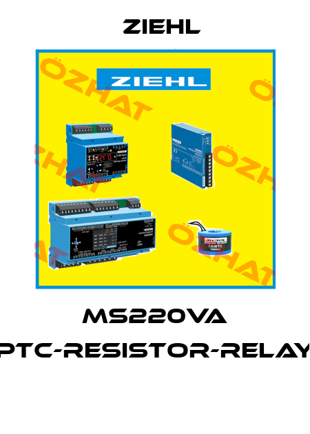 MS220VA PTC-RESISTOR-RELAY  Ziehl