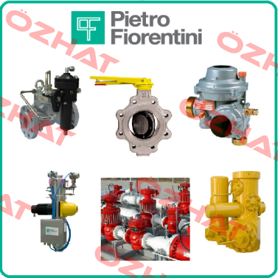 7710034 Pietro Fiorentini