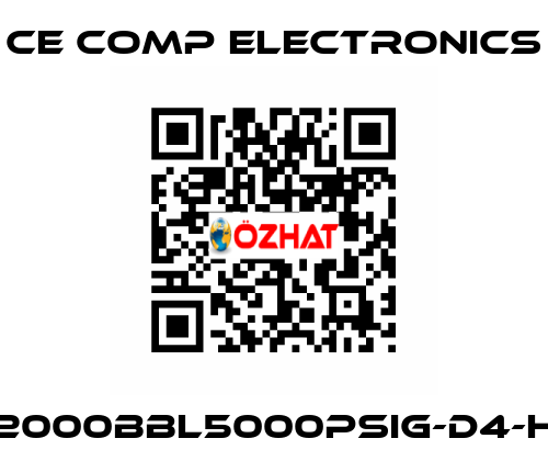 DPG2000BBL5000PSIG-D4-HA-10 Ce Comp Electronics