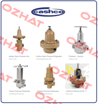 210-E8-5-R9054-00 Cashco