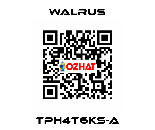 TPH4T6KS-A Walrus
