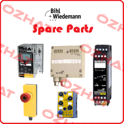 BWU1703 Bihl Wiedemann