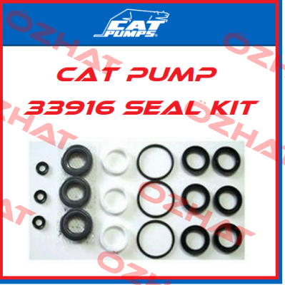 33916 Cat Pumps