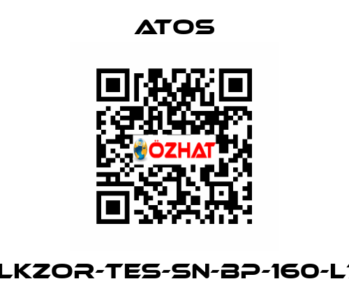 DLKZOR-TES-SN-BP-160-L71 Atos