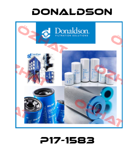 P17-1583  Donaldson