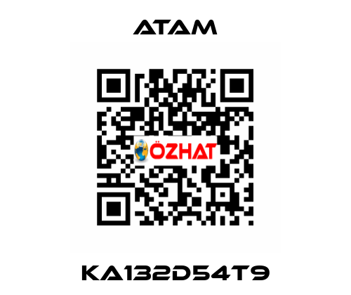 KA132D54T9 ATAM