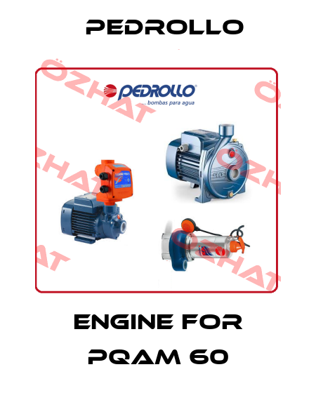 engine for PQAm 60 Pedrollo