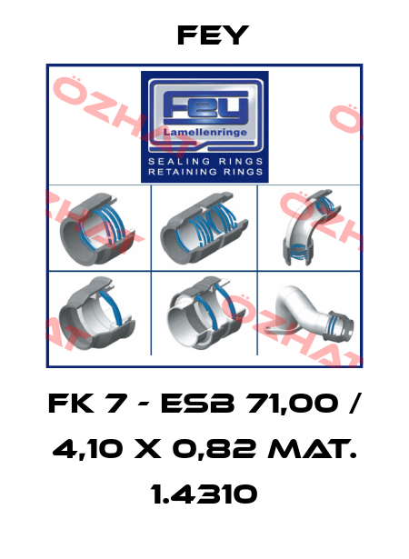 FK 7 - ESB 71,00 / 4,10 x 0,82 Mat. 1.4310 Fey