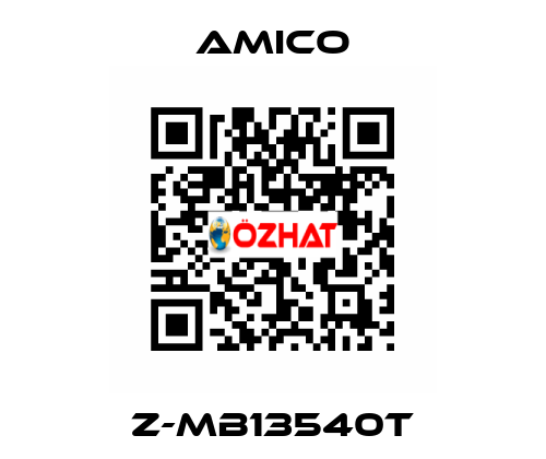 Z-MB13540T AMICO